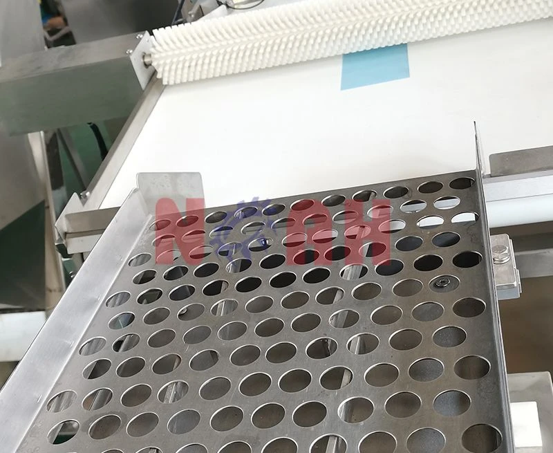 Automatische Abf&uuml;ll- und Verschlie&szlig;maschine f&uuml;r Tablettenr&ouml;hrchen NTF-600